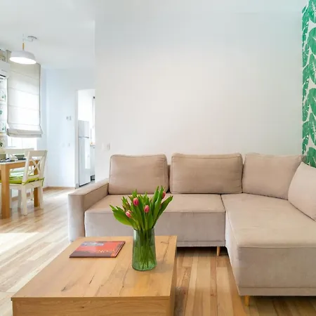 Tci Κλουζ-Ναπόκα