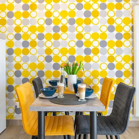 Tci Κλουζ-Ναπόκα